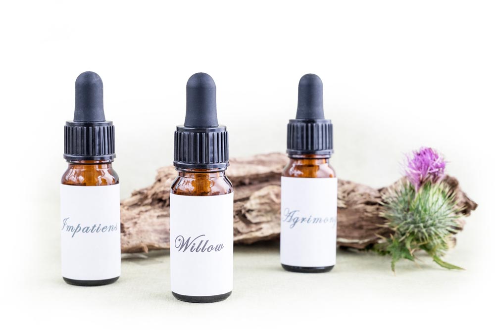 bach-flower-remedy-2785152_1920_web